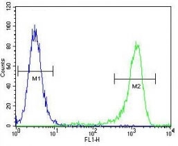 MLH1 antibody flow cytometric analysis of K562 cells (green) compared to a <a href=../search_result.php?search_txt=n1001>ne