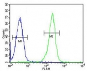 PAX5 antibody flow cytometric analysis of Ramos cells (right histogram) compared to a negative control (left histogram)