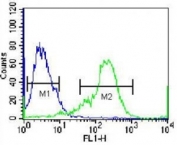 NKX1.2 antibody flow cytometric analysis of 293 cells (green) compared to a <a href=../tds/rabbit-igg-isotype-control-polyclonal-antibody-n1001>negative control</a> (blue). FITC-conjugated goat-anti-rabbit secondary Ab was used for the analysis.