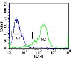 NKX1.2 antibody flow cytometric analysis of 293 cells (green) compared to a <a href=../tds/rabbit-igg-isotype-control-polyclonal-antibody-n1001>negative control</a> (blue). FITC-conj