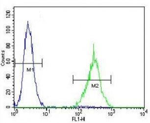 SOX1 antibody flow cytometric analysis of NCI-H460 cells (right histogram) compared to a <a href=../search_result.php?search_txt=n1001>negative control</a> (left histogram). FITC-conjugated goat-anti-rabbit secondary Ab was used for the analysis.~