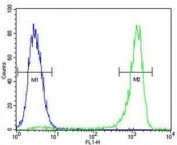 VEGFC antibody flow cytometric analysis of MCF-7 cells (green) compared to a <a href=../search_result.php?search_txt=n1001>negative control</a> (blue). FITC-conjugated goat-anti-rabbit secondary Ab was used for the analysis.