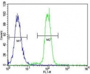 KLF4 antibody flow cytometric analysis of K562 cells (right histogram) compared to a negative control (left histogram). FITC-conjugated goat-anti-rabbit secondary Ab was used for the analysis.