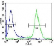 XRCC5 antibody flow cytometric analysis of Jurkat cells (green) compared to a <a href=../search_result.php?search_txt=n1001>negative control</a> (blue). FITC-conjugated donkey-anti-rabbit secondary Ab was used for the analysis.