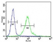 MeCP2 antibody flow cytometric analysis of MDA-MB435 cells (green) compared to a <a href=../search_result.php?search_txt=n1001>negative control</a> (blue). FITC-conjugated goat-anti-rabbit secondary Ab was used for the analysis.