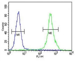 ZEB2 antibody flow cytometric analysis of MDA-MB435 cells (right histogram) compared to a negative control (left histogram). FITC-conjugated goat-anti-rabbit secondary Ab was used for the analysis.~