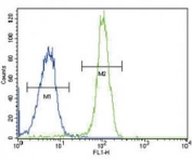 SDHD antibody flow cytometric analysis of HeLa cells (green) compared to aÂ negative controlÂ (blue). FITC-conjugated goat-anti-rabbit secondary Ab was used for the analysis.