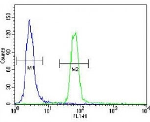 SUMO antibody flow cytometric analysis of HeLa cells (green) compared to a?<a href=../search_result.php?search_txt=n1001>negative control</a>?(blue). FITC-conjugated goat-anti-rabbit secondary Ab was used for the analysis.