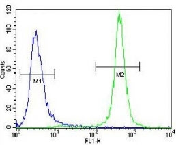 MST1 antibody flow cytometric analysis of NCI-H460 cells (green) compared to a?<a href=../search_result.php?search_txt=n1001>negative control</a>?(blue). FITC-conjugated goat-anti-rabbit secondary Ab was used for the analysis.