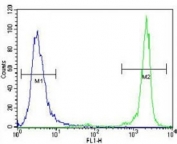 GDF15 antibody flow cytometric analysis of NCI-H460 cells (green) compared to a <a href=../search_result.php?search_txt=n1001>negative control</a> (blue). FITC-conjugated goat-anti-rabbit secondary Ab was used for the analysis.