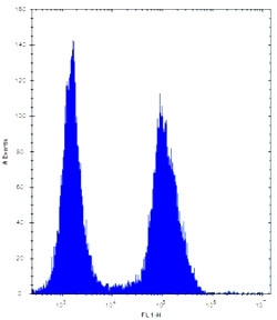 ASS1 antibody flow cytometric analysis of Jurkat cells (right histogram) compared to a <a href=../search_result.php?search_txt=n1001>negative control</a> (left histogram). FITC-conjugated donkey-anti-rabbit secondary Ab was used for the analysis.