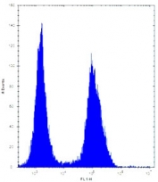 ASS1 antibody flow cytometric analysis of Jurkat cells (right histogram) compared to a <a href=