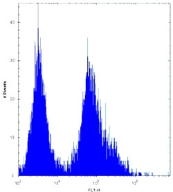 CDKN2B antibody flow cytometric analysis of 293 cells (right histogram) compared to a <a href=../search_result.php?search_txt=n1001>negative control</a> (left histogram). FITC-conjugated goat-anti-rabbit secondary Ab was used for the analysis.
