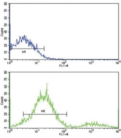 Flow cytometric analysis of ZR-75-1 cells using MCL1 antibody (green) compared to a <a href=../search_result.php?search_txt=n1001>negative control</a> (blue). FITC-conjugated goat-anti-rabbit secondary Ab was used for the analysis.