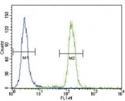 Puma antibody flow cytometric analysis of HeLa cells (right histogram) compared to a negative control (left histogram). FITC-conjugated goat-anti-rabbit secondary Ab was used for the analysis.