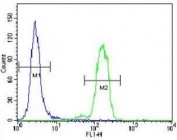 Bad antibody flow cytometric analysis of HeLa cells (right histogram) compared to a negative control (left histogram). FITC-conjugated goat-anti-rabbit secondary Ab was used for the analysis.