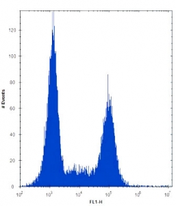 TLR9 antibody flow cytometric analysis of Ramos cells (right histogram) compared to a negative control (left histogram). FITC-conjugated donkey-anti-rabbit secondary Ab was used for the analysis.~