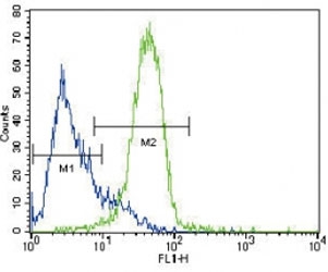 GATA4 antibody flow cytometric analysis of HepG2 cells (green) compared to a <a href=../search_result.php?search_txt=n1001>negative control</a> (blue). FITC-conjugated goat-anti-rabbit secondary Ab was used for the analysis.~