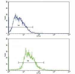 Flow cytometric analysis of HepG2 cells using SOX-9 antibody (bottom histogram) compared to a negative control (top histogram). FITC-conjugated goat-anti-rabbit secondary Ab was
