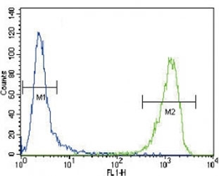 Alpha Actin antibody flow cytometric analysis of CEM cells (green) compared to a <a href=../search_result.php?search_txt=n1001>negative control</a> (blue).