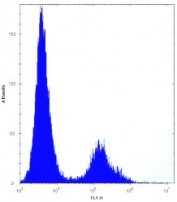 VDR antibody flow cytometric analysis of HeLa cells (right histogram) compared to a negative control (left histogram). FITC-conjugated donkey-anti-rabbit secondary Ab was used for the analysis.