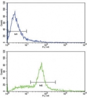 Flow cytometric analysis of WiDr cells using SCF antibody (green) compared to a negative control (blue). FITC-conjugated goat-anti-rabbit secondary Ab was used for the analysis.