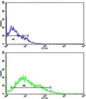 Flow cytometric analysis of HL-60 cells using LIN28B antibody (green) compared to a <a href=../search_result.php?search_txt=n1001>negative control</a> (blue). FITC-conjugated goat-anti-rabbit secondary Ab was used for the analysis.