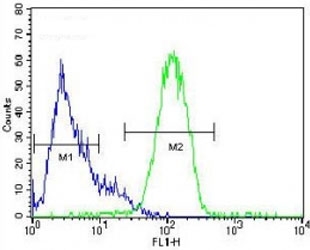 NANOG antibody flow cytometric analysis of HepG2 cells (right histogram) compared to a negative control (left histogram). FITC-conjugated goat-anti-rabbit secondary Ab was used for the analysis.