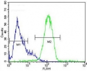NANOG antibody flow cytometric analysis of HepG2 cells (right histogram) compared to a negative control (left histogram). FITC-conjugated goat-anti-rabbit secondary Ab was used for the analysis.