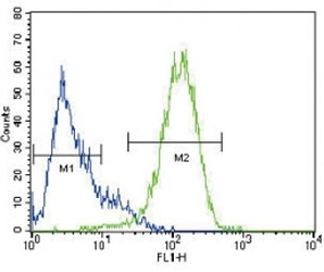 ABCG2 antibody flow cytometric analysis of HepG2 cells (right histogram) compared to a negative control (left histogram)