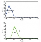 Flow cytometric analysis of CEM cells using TLR2 antibody (bottom histogram) compared to a negative control (top histogram). FITC-conjugated goat-anti-rabbit secondary Ab was used for the analysis.