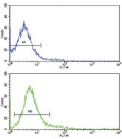 Flow cytometric analysis of Jurkat cells using CD45 antibody (bottom histogram) compared to a negative control cell (top histogram). FITC-conjugated goat-anti-rabbit secondary Ab was used for the analysis.