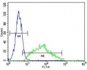 LEP antibody flow cytometric analysis of HeLa cells (right histogram) compared to a negative control (left histogram). FITC-conjugated goat-anti-rabbit secondary Ab was used for the analysis.