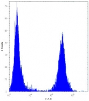 TGFBI antibody flow cytometric analysis of U251 cells (right histogram) compared to a <a href=../search_result.php?search_txt=n1001>negative control</a> (left histogram). FITC-conjugated goat-anti-rabbit secondary Ab was used for the analysis.