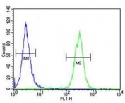 LC3B antibody flow cytometric analysis of MCF-7 cells (right histogram) compared to a negative control cell (left histogram). FITC-conjugated goat-anti-rabbit secondary Ab was used for the analysis.