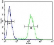 Anti-Myc antibody flow cytometric analysis of 293 cells (right histogram) compared to a negative control cell (left histogram). FITC-conjugated goat-anti-rabbit secondary Ab was used for the analysis.