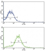 Flow cytometric analysis of HepG2 cells using BMPR2 antibody (green) compared to a negative control (blue). FITC-conjugated goat-anti-rabbit secondary Ab was used for the analysis.