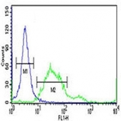 PROX1 antibody flow cytometric analysis of 293 cells (right histogram) compared to a negative control (left histogram). FITC-conjugated goat-anti-rabbit secondary Ab was used for the analysis.