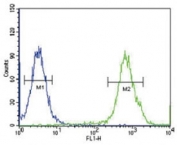 VEGF-C antibody flow cytometric analysis of 293 cells (green) compared to a <a href=../search_result.php?search_txt=n1001>negative control</a> (blue). FITC-conjugated goat-anti-rabbit secondary Ab was used for the analysis.