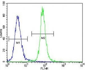 SOX2 antibody flow cytometric analysis of 293 cells (right histogram) compared to