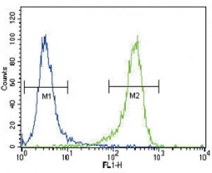 PGP9.5 antibody flow cytometric analysis of NCI-H460 cells (green) compared to a <a href=../search_result.php?search_txt=n1001>negative control</a> (blue). FITC-conjugated goat-anti-rabbit secondary Ab was used for the analysis.