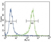 PGP9.5 antibody flow cytometric analysis of NCI-H460 cells (green) compared to a <a href=