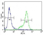 PGP9.5 antibody flow cytometric analysis of NCI-H460 cells (right histogram) compared to a negative control (left histogram). FITC-conjugated goat-anti-rabbit secondary Ab was used for the analysis.