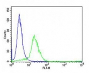 Flow cytometric analysis of HeLa cells using EZH2 antibody (green) compared to an <a href=search_result.php?search_txt=n1001>isotype control of rabbit IgG</a> (blue). Ab was diluted at 1:25 dilution. An Alexa Fluor 488 goat anti-rabbit lgG was used as the secondary Ab.
