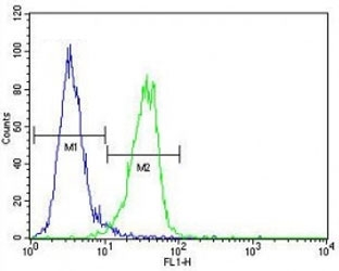 MeCP2 antibody flow cytometric analysis of MDA-MB435 cells (green) compared to a <a href=../search_result.php?search_txt=n1001>negative control</a> (blue). FITC-conjugated goat-anti-rabbit secondary Ab was used for the analysis.~