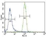 HNF4A antibody flow cytometric analysis of NCI-H460 cells (right histogram) compared to a negative control (left histogram). FITC-conjugated goat-anti-rabbit secondary Ab was used for the analysis.