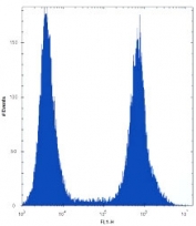 RUNX1 antibody flow cytometric analysis of HeLa cells (right histogram) compared to a <a href=