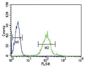 IRF8 antibody flow cytometric analysis of HL-60 cells (green) compared to a <a href=../search_result.php?search_txt=n1001>negative control</a> (blue). FITC-conjugated goat-anti-rabbit secondary Ab was used for the analysis.~