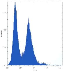 NPM1 antibody flow cytometric analysis of HeLa cells (right histogram) compared to a <a href=../search_result.php?search_txt=n1001>negative control</a> (left histogram). FITC-conjugated donkey-anti-rabbit secondary Ab was used for the analysis.