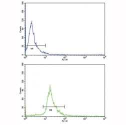 Flow cytometric analysis of NCI-H292 cells using CD105 antibody (bottom histogram) compared to a negative control (top histogram). FITC-conjugated goat-anti-rabbit secondary Ab was used for the analysis.